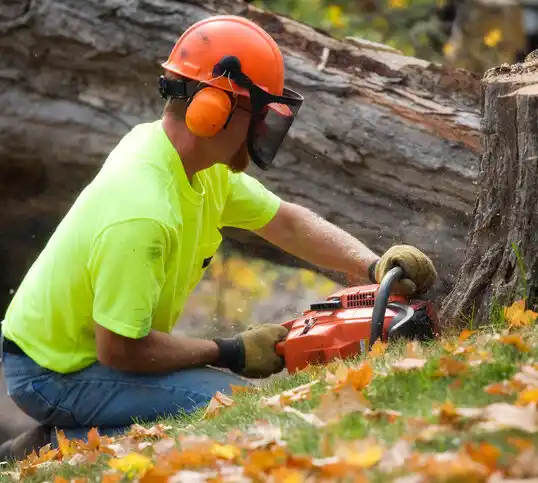 tree services Lexington Park